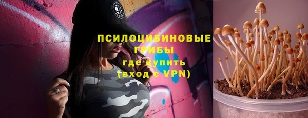 ГАЛЛЮЦИНОГЕННЫЕ ГРИБЫ Богородицк