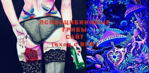 2c-b Богданович