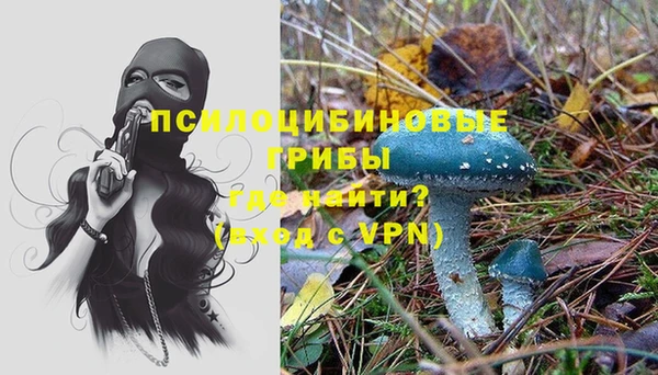 ГАЛЛЮЦИНОГЕННЫЕ ГРИБЫ Богородицк