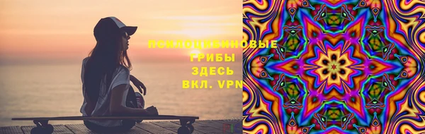ГАЛЛЮЦИНОГЕННЫЕ ГРИБЫ Богородицк
